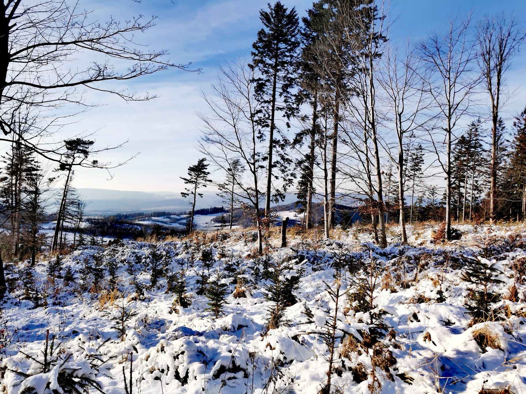 WhatsApp Image 2023-09-19 at 20.29.08