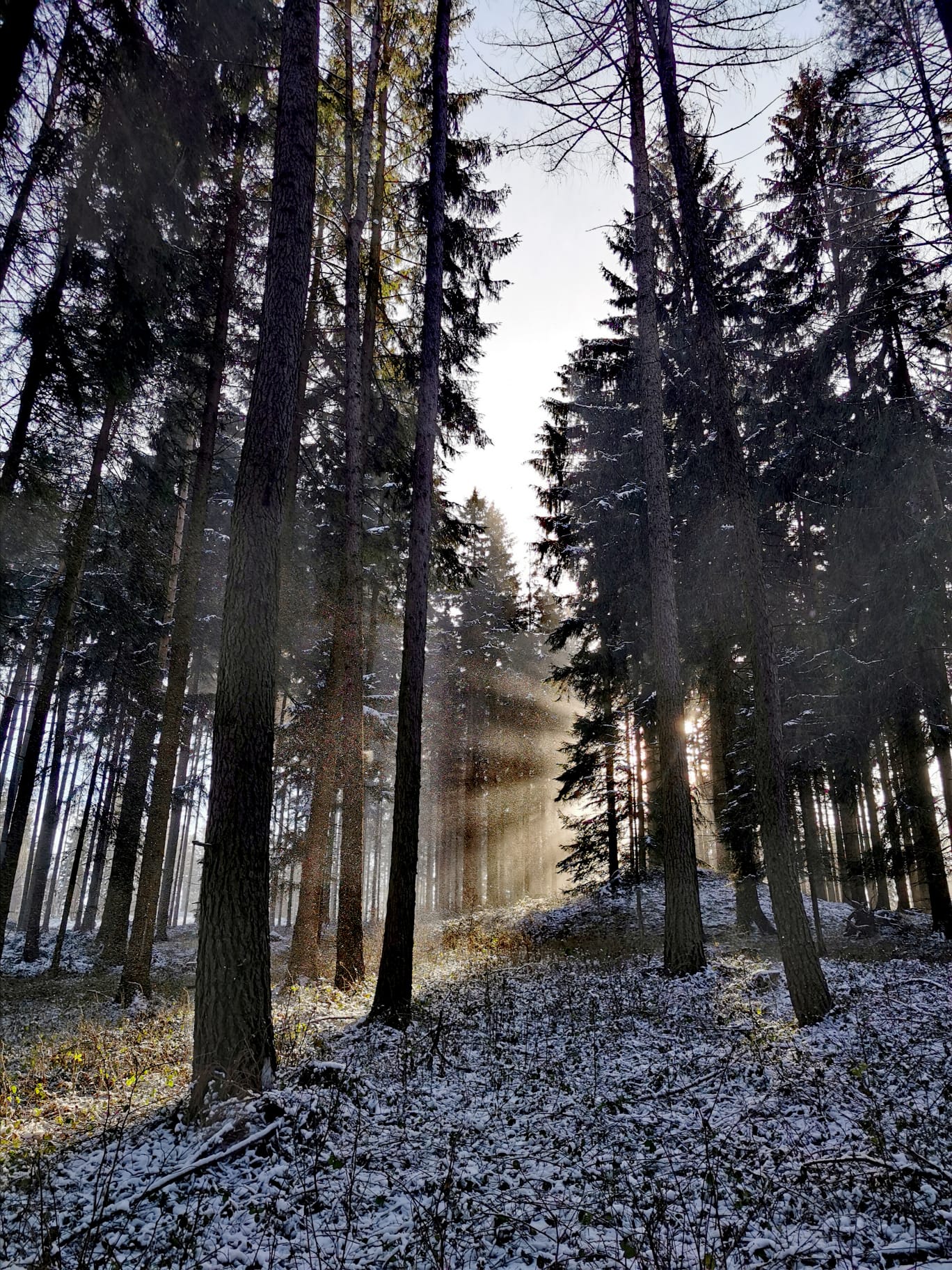 WhatsApp Image 2023-09-19 at 20.29.24